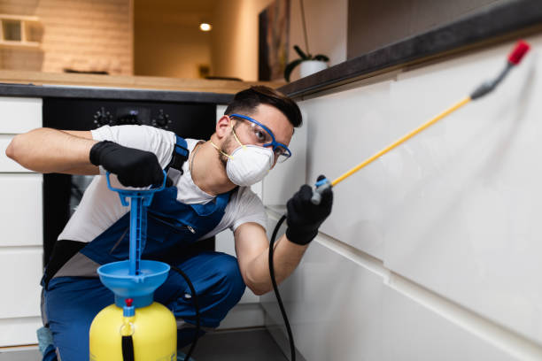 Best Affordable Pest Control Services  in Crystal Lake, CT
