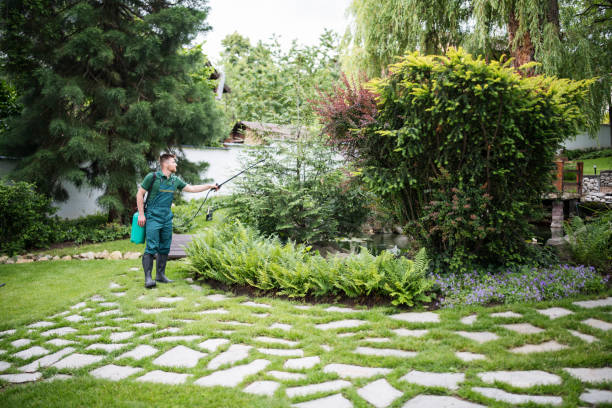 Best Pest Control for Businesses  in Crystal Lake, CT