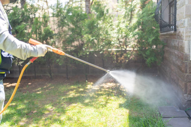 Best Best Pest Control Companies  in Crystal Lake, CT
