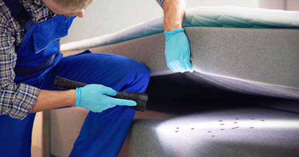 Best Wasp Removal Services  in Crystal Lake, CT